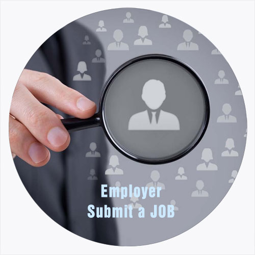 Human Resource Jobs Palacements Staffing Recruitment Agency Company in India